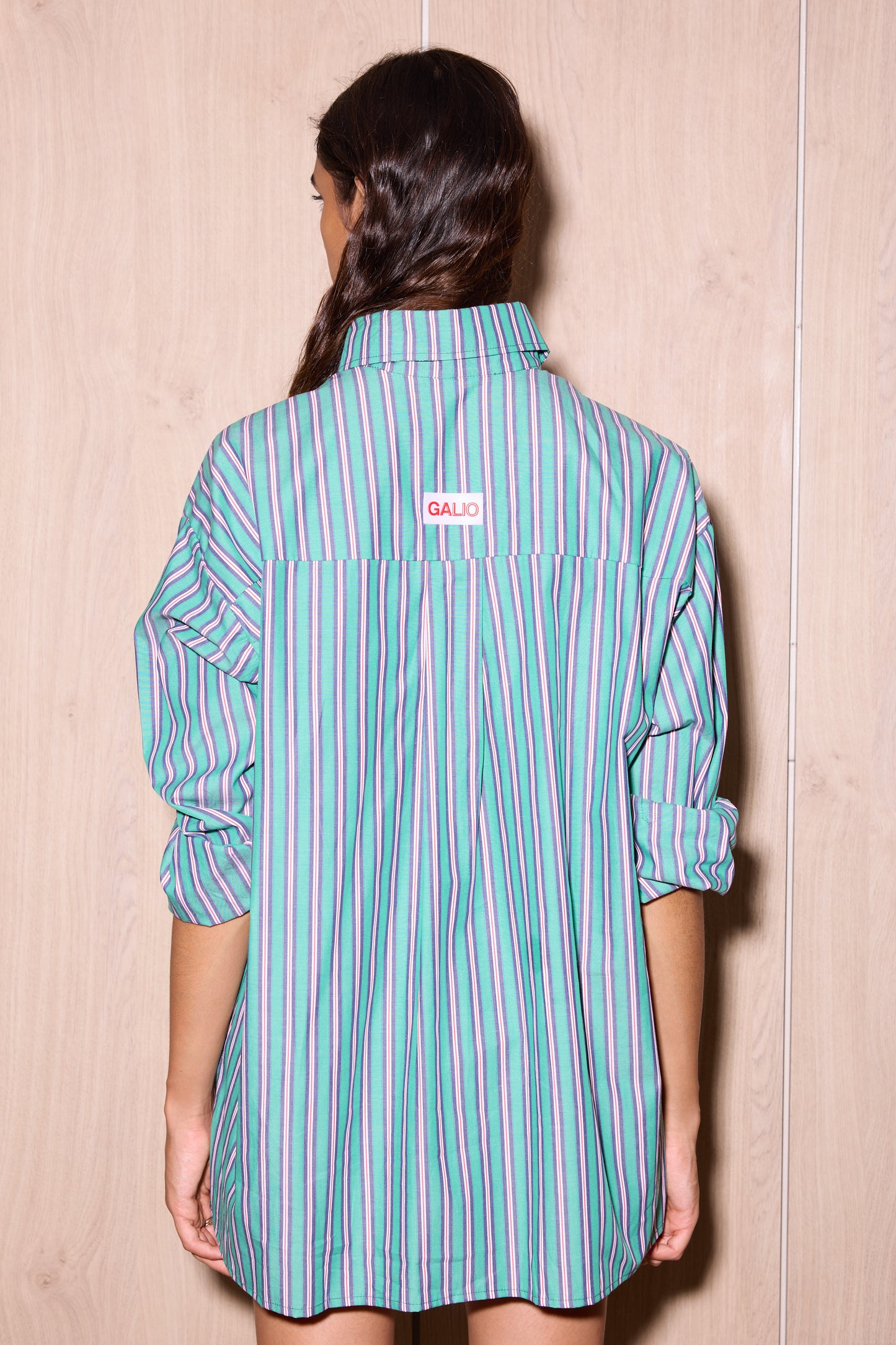 Camisa Eloisa Green R